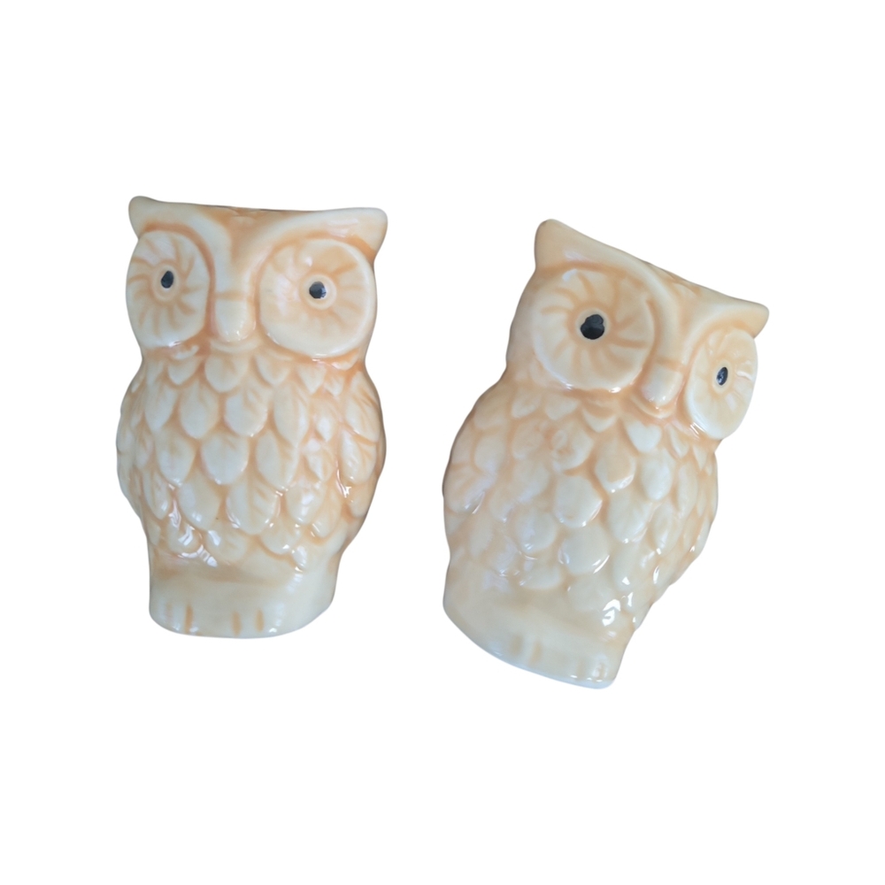 Vintage 70's Retro Kitschy Ceramic Owl Salt & Pepper Shakers / Deadstock Vtg